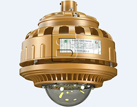 FGV1208-LED 免維護節能防爆燈